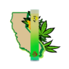 Buy CALI OG Disposable Vape
